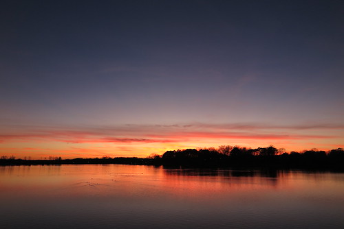 IMG_9115 by ppkk75,