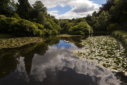 gardens pond cheshire ducks nationaltrust biddulphgrangegardens
