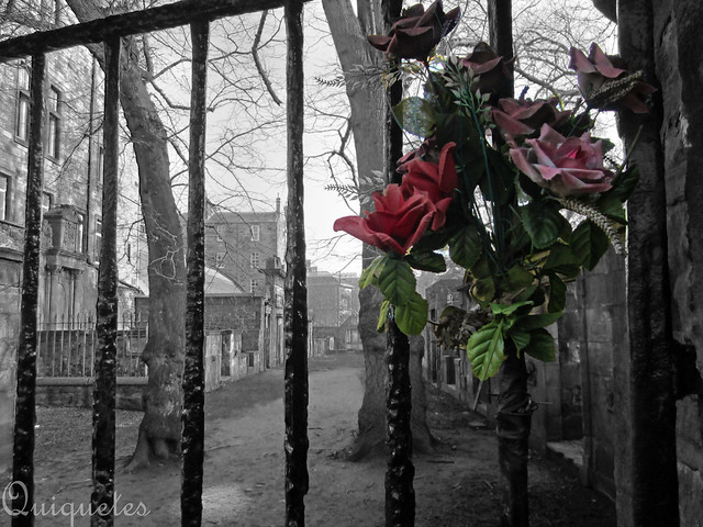 Cementerio Greyfriars (Edimburgo)
