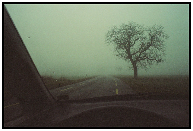 Brouillard Route de Sézegnin