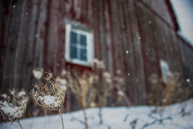 The winter barn