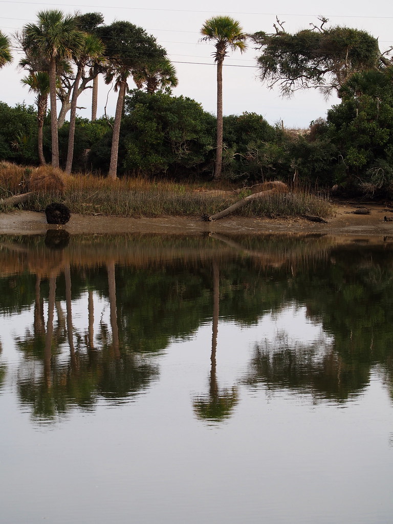 Reflections | OLYMPUS DIGITAL CAMERA | carlinsc | Flickr