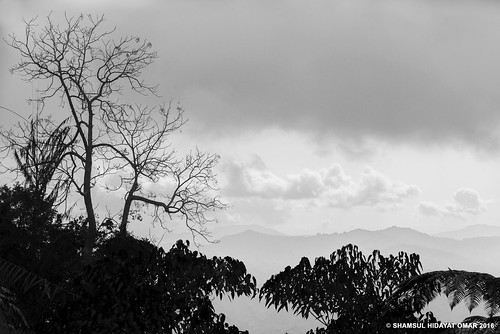 tourism lens landscape highlands interesting nikon scenery places scene resort hills 55mm malaysia omar berjaya pahang bukit bentong tinggi hidayat micronikkor greatphotographers shamsul d800e