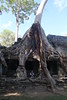 Angkor - Ta Prohm_2