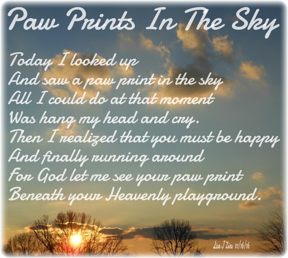 Paw Prints In The Sky Poem | wrote this poem for Joshua, o… | Flickr