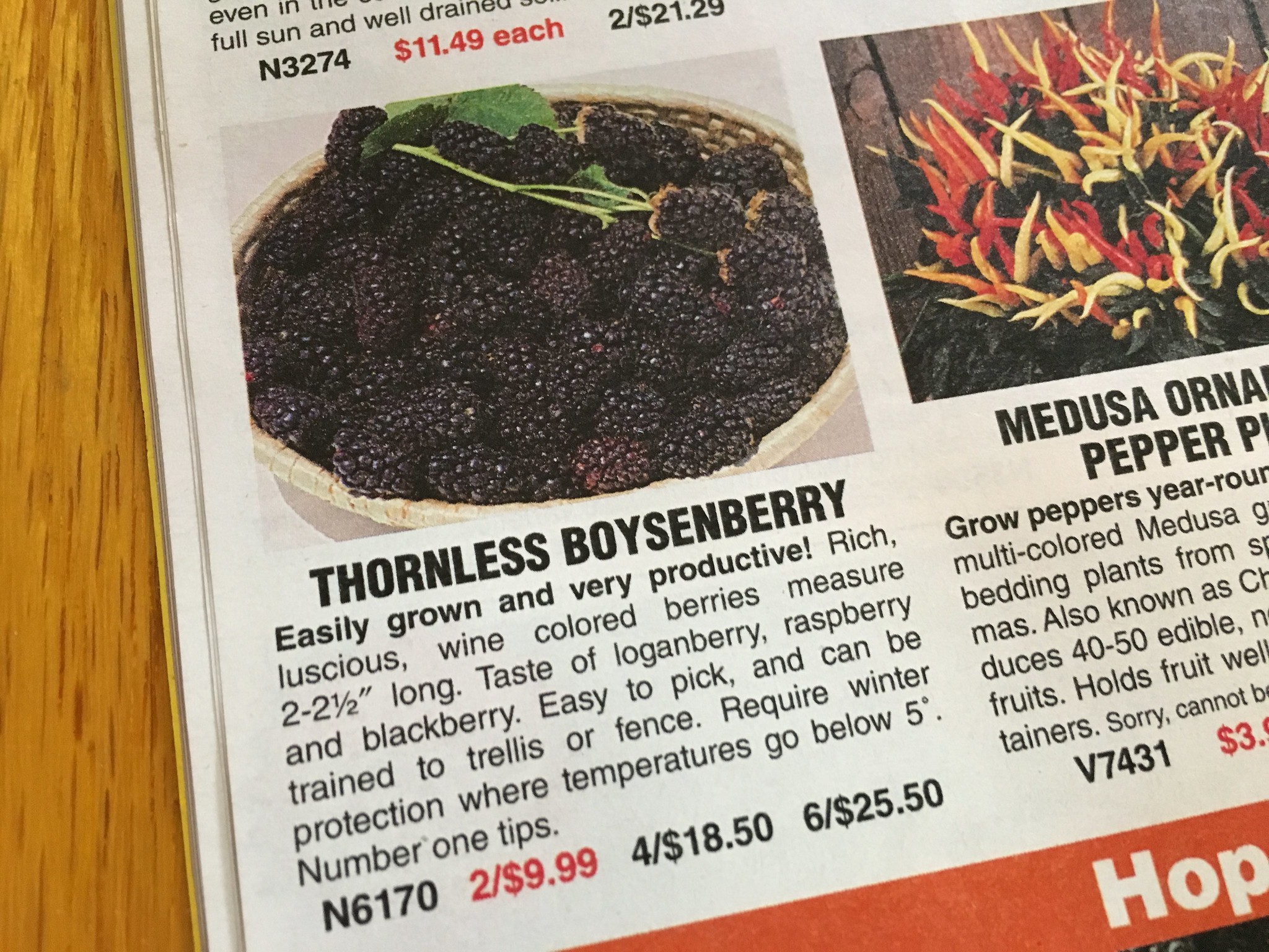 Thinking about buying some Boysenberries.