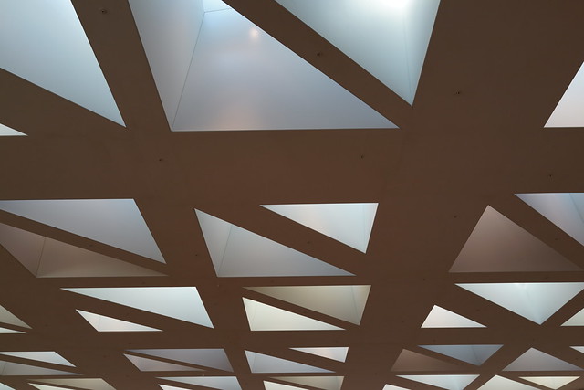 Ceiling of the medical library at Erasmus MC Rotterdam