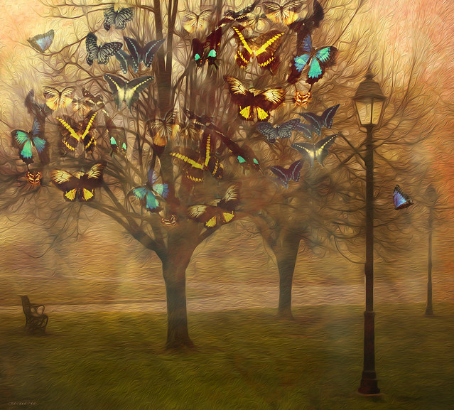 -- the butterfly tree --