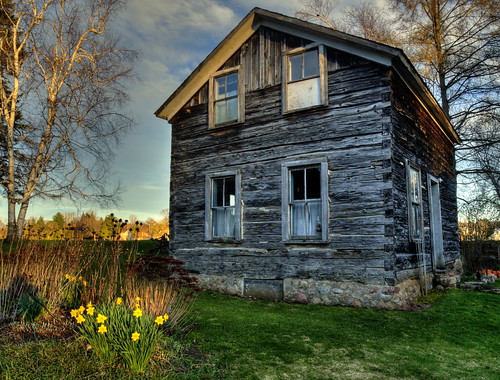 usa wisconsin digital rural america canon geotagged spring rustic logcabin daffodills northamerica nostalgic homestead weatheredwood canoneos hdr smalltown iola loghouse northcountry photomatix 24105l tonemapping waupacacounty centralwisconsin lakeiola iolawisconsin waupacacountywisconsin