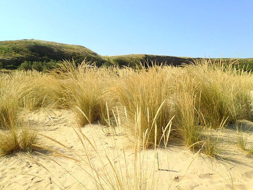 estate dune best 2012 abruzzo vasto riserva puntapenna vastoclick2 puntapennagiugno2012 panoramio539538474830630