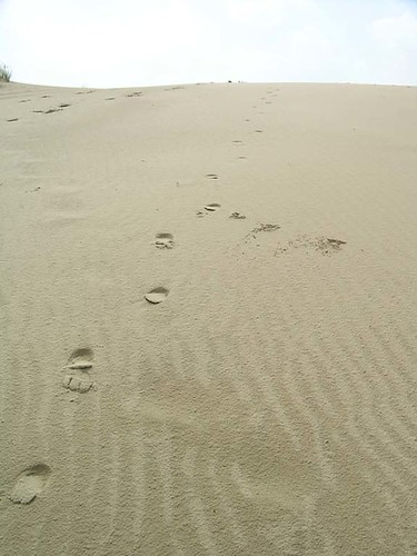 Kootwijkse Zand | by ru_bri