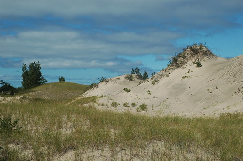 Dunescape | by dunescape