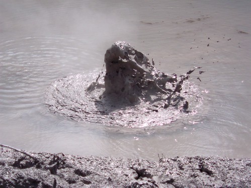 Mudpools Rotorua | by splinteroo