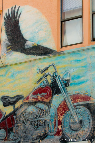Bike Week 2016 | by SharkAddict