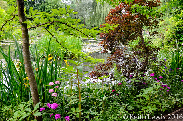 A final glance at Giverny