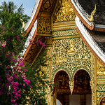 Wat Mai Suwannaphumaham with Bougainvillea, Luang Prabang, laos　ルアンパバーン、ワット・マイ・スワナプーマハムとブーゲンビリア