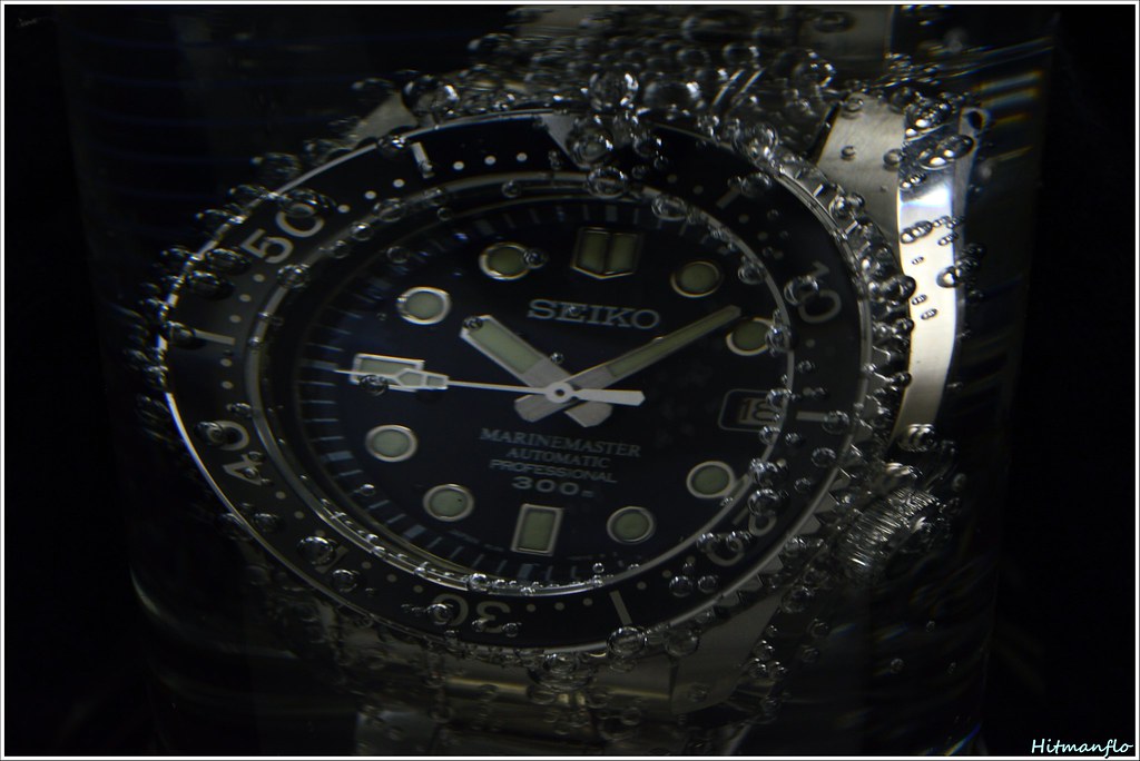 MarineMaster 300 owner's club - tome XXIX - Page 31 24158636369_586756c82e_b
