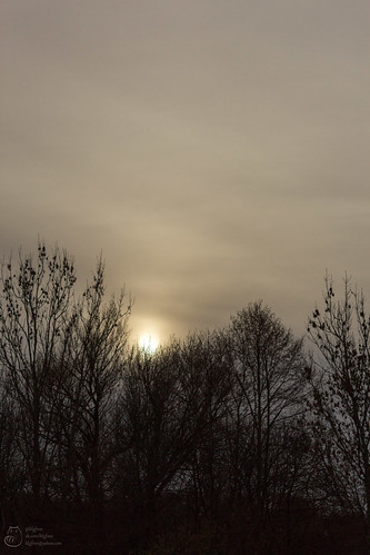 Тёмный закат by klgfinn, autumn cloud forest landscape light sky sun sunlight sunset tree wood дерево закат лес небо облако о