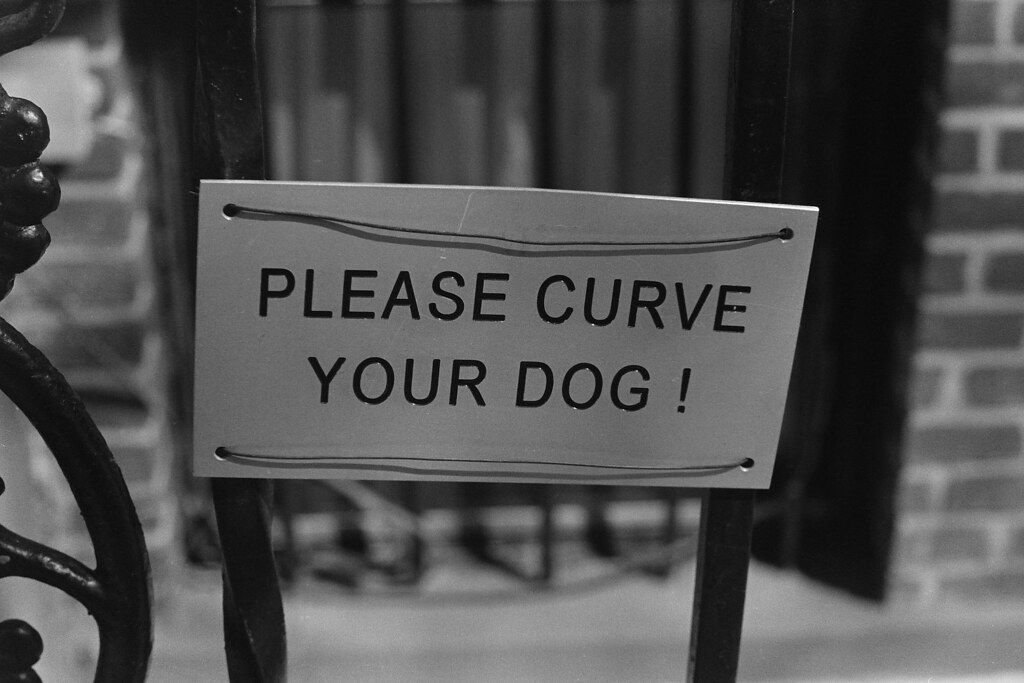 Please Curve Your Dog