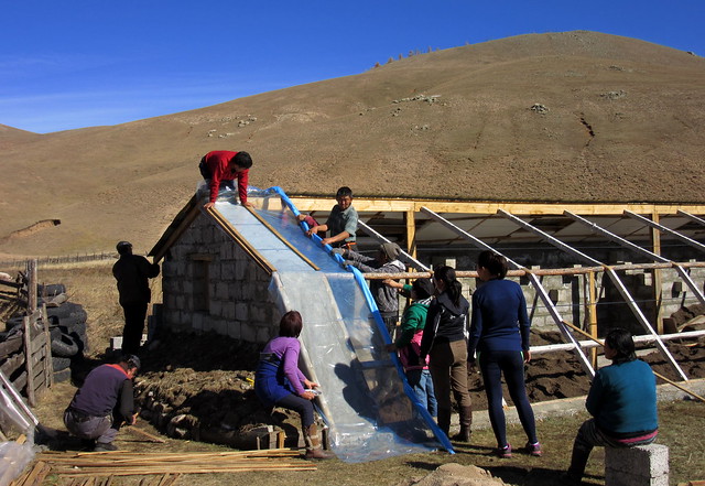 Passive Solar Greenhouses in Mongolia