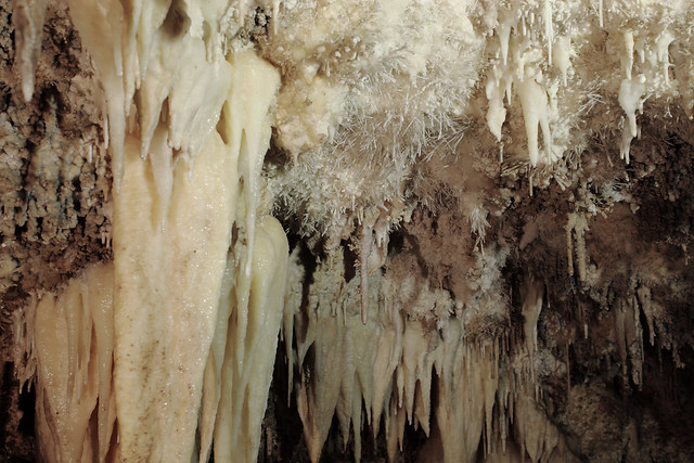 Spanish Moss Cave