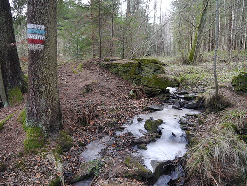 trees winter ice creek forest austria österreich mark bach eis wald bäume niederösterreich autriche penk eichberg loweraustria markierung buckligewelt grabensee gramatl