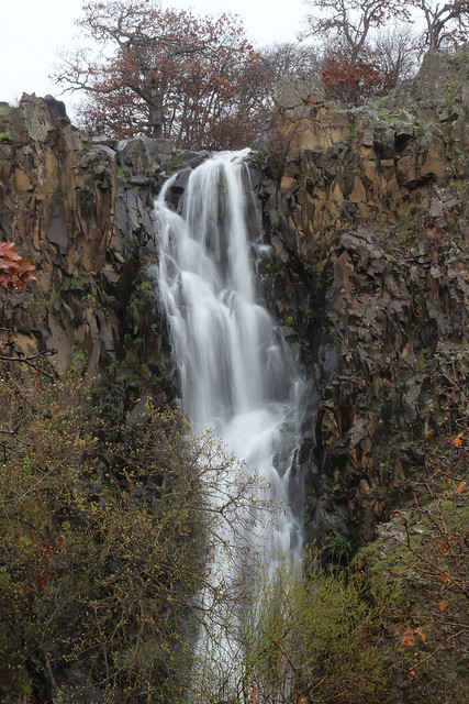 Eightmile Creek Falls along Crawford Oaks Trail