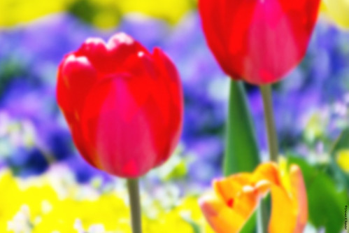 Orton effect 2 | by qualityandme