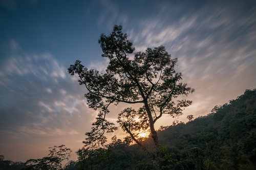 park trees light sunset sky sun nature clouds landscape asia outdoor hiking windy recreation elxphotography