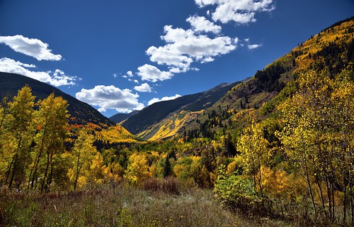trees mountains nature colorado unitedstates meadow evergreen aspen day7 yellowleaves hillsides project365 colorefexpro grassymeadow lookingsw elkmountains castlecreekroad mountainsindistance absolutelystunningscapes blueskieswithclouds nikond800e mountainsoffindistance capturenx2edited hillsideoftrees