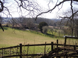 View out of Burgess Copse SWC Walk 260 Aldermaston to Woolhampton [Midgham Station] (via Frilsham)