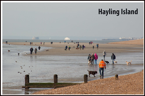 Hayling Island postcard | Dog walking on Hayling: February 1… | Flickr