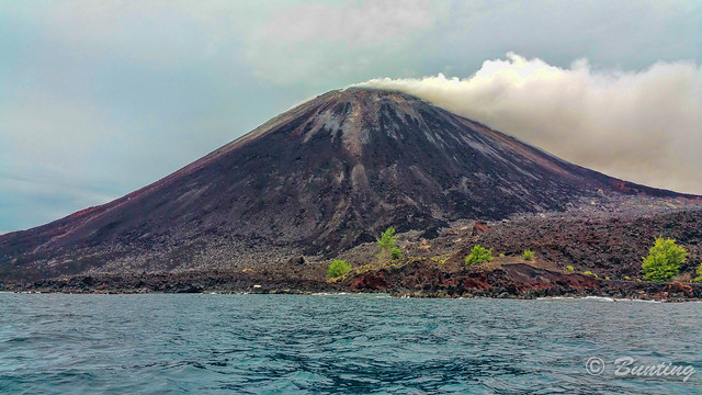 Anak Krakatau where lava has flowed to the sea and created a jagged shoreline.