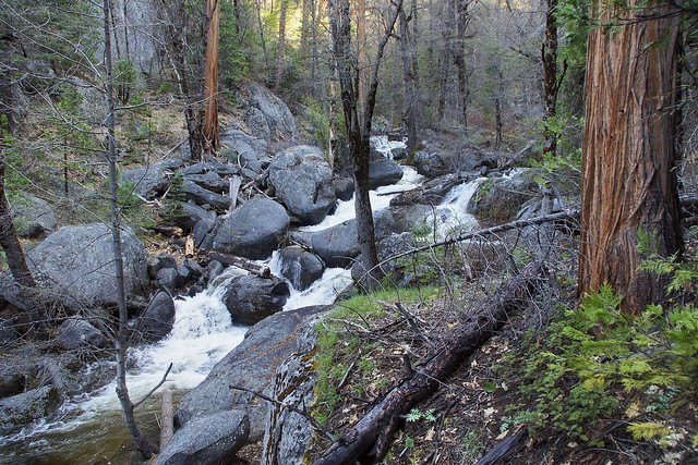 Alder Creek in Yosemite National Park