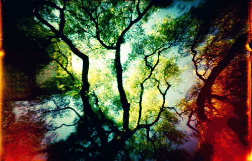 Pinhole #3 | by Carrie Patterson
