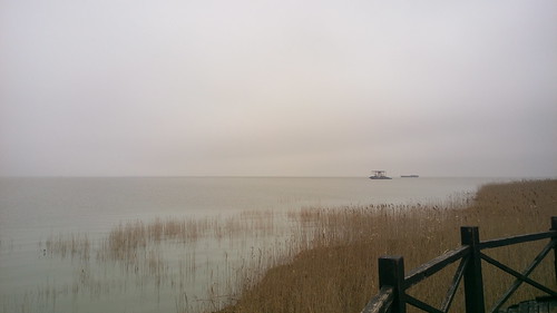 崇明 西沙國家濕地公園 西沙国家湿地公园