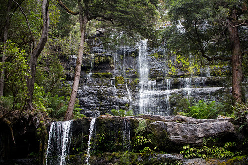 cliff forest waterfall rainforest falls tasmania wilderness russellfalls mtfield mtfieldnationalpark