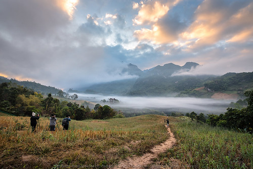 park morning travel autumn light summer sky cloud sun sunlight mist mountain mountains tree green nature beautiful field grass misty fog rural forest sunrise landscape thailand outdoors dawn early spring view natural background hill foggy meadow scene environment