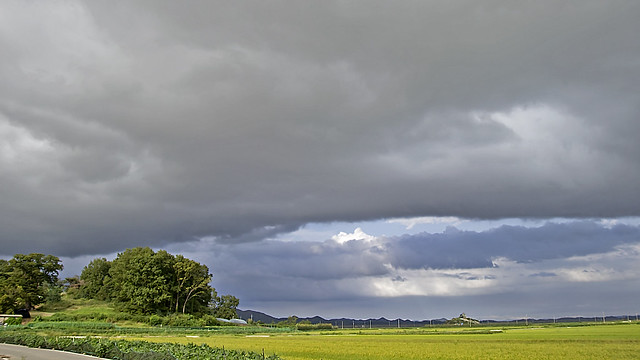 Grain Field Landscape under the heavy Clouds