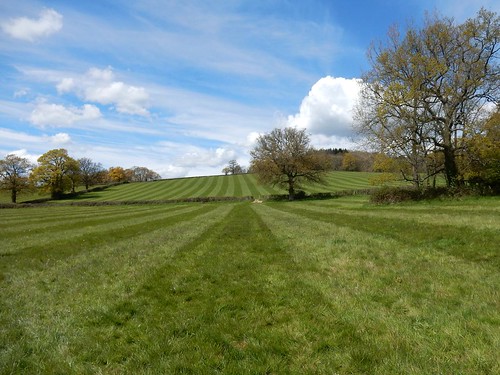 Stripy fields Sevenoaks to Westerham