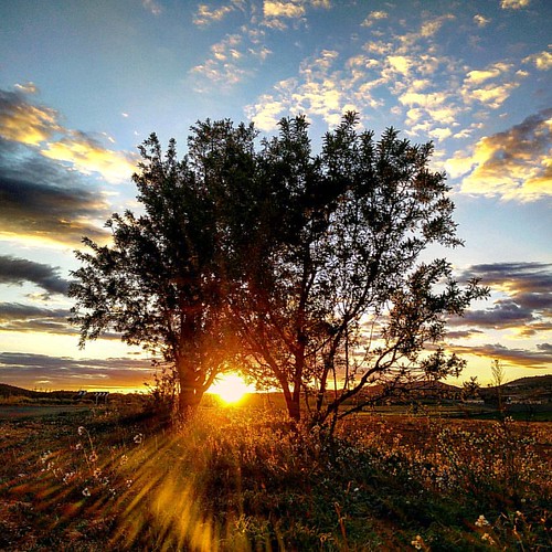 Rincón del Moro (Hellín, Albacete, Spain) by ruralsite, square squareformat iphoneography instagramapp uploaded:by=instagram