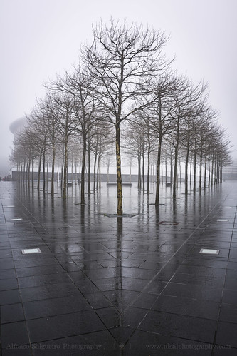 fog symmetry luxembourg kirchberg placedeleurope philhamonie