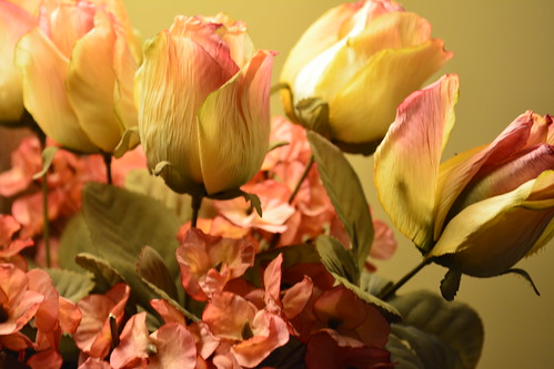 Roses... | by laudu