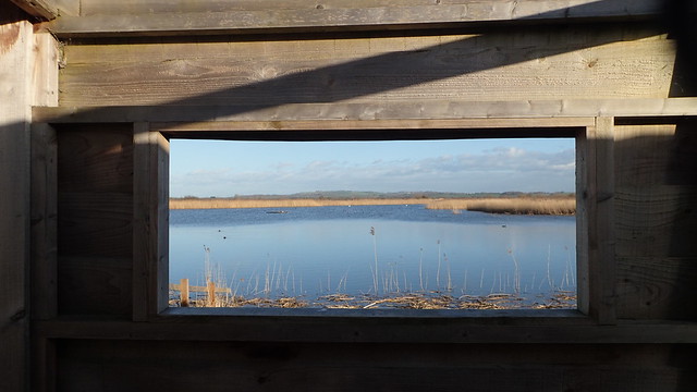 View from the hide