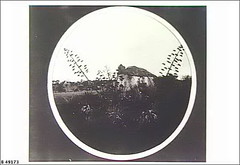 Gaffneys at Willunga, 1908. SLSA B49173