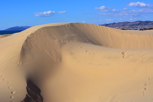 dune | by hewitt_eli