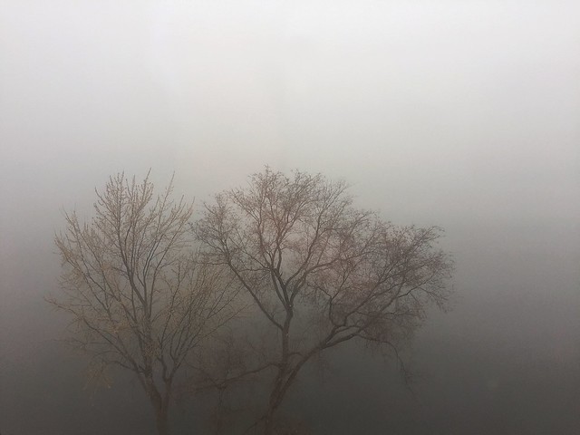 Fog [explored]