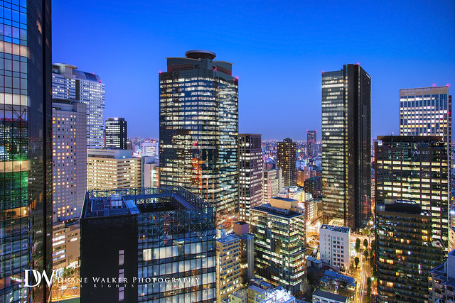 Tokyo Blue Cityscape