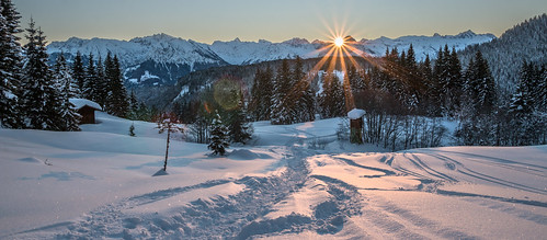 morning trees winter mountain snow mountains cold sunrise canon de bayern deutschland eos frozen allgäu oberallgäu 70d obermaiselstein