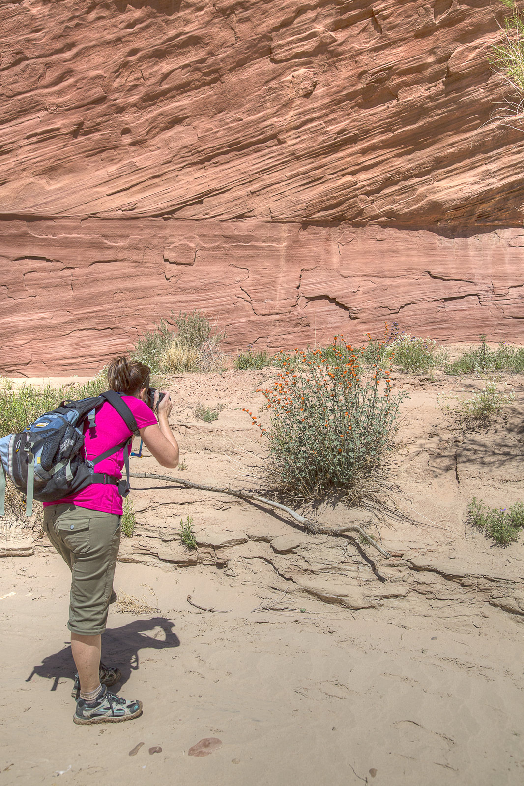 A woman stands while taking a photo at Vermilion Cliffs National Monument